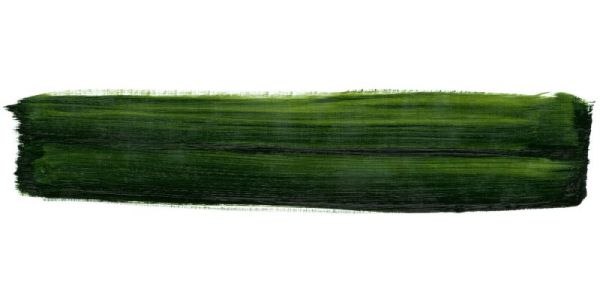 Schmincke MUSSINI Oil Paint Sap Green 35ml