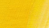 Schmincke Norma Professional Oil Paint Cadmium Yellow 120ml