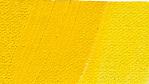 Schmincke Norma Professional Oil Paint Cadmium Yellow Light