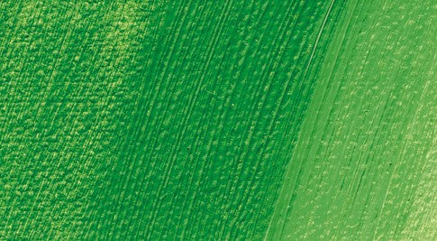 Schmincke Norma Professional Oil Paint Permanent Green 35ml