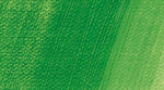 Schmincke Norma Professional Oil Paint Permanent Green 35ml