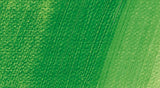Schmincke Norma Professional Oil Paint Permanent Green 35ml
