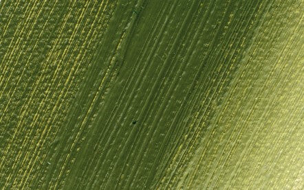 Schmincke Norma Professional Oil Paint Olive Green