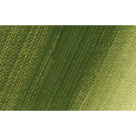 Schmincke Norma Professional Oil Paint Olive Green
