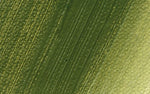 Schmincke Norma Professional Oil Paint Olive Green