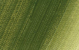 Schmincke Norma Professional Oil Paint Olive Green 35ml