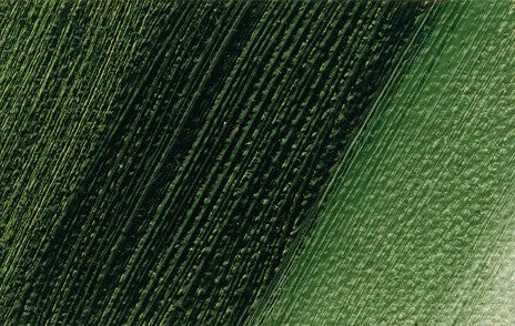 Schmincke Norma Professional Oil Paint Sap Green 35ml