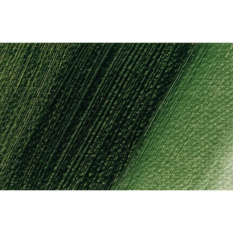 Schmincke Norma Professional Oil Paint Sap Green