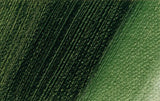 Schmincke Norma Professional Oil Paint Sap Green 35ml