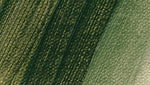 Schmincke Norma Professional Oil Paint Green Earth