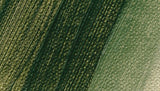 Schmincke Norma Professional Oil Paint Green Earth 120ml