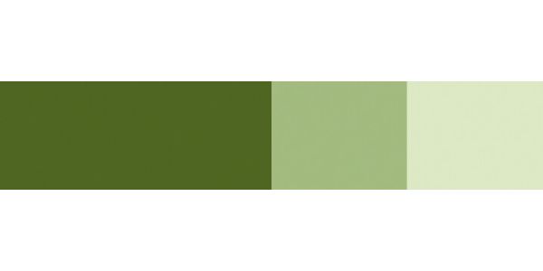 Schmincke Horadam Gouache Paint Olive Green 15ml