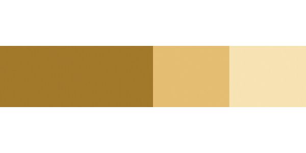 Schmincke Horadam Gouache Paint Raw Umber 15ml