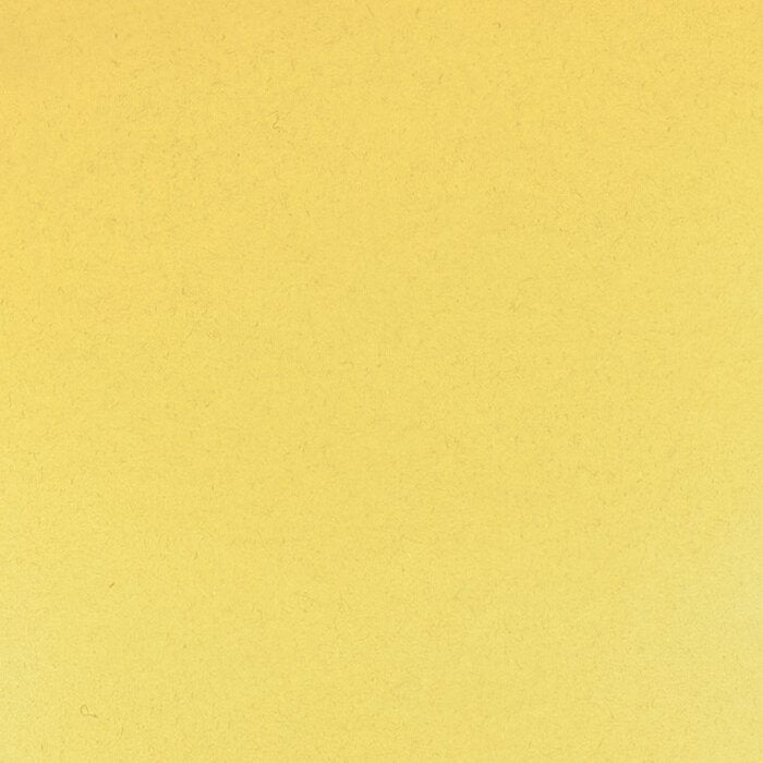 Schmincke Horadam Aquarelle Watercolour Paint Rutile Yellow