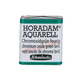 Product image for Schmincke Horadam Aquarelle Watercolour Paint Chromium Oxide Green Brilliant
