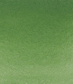 Product image for Schmincke Horadam Aquarelle Watercolour Paint Chromium Oxide Green