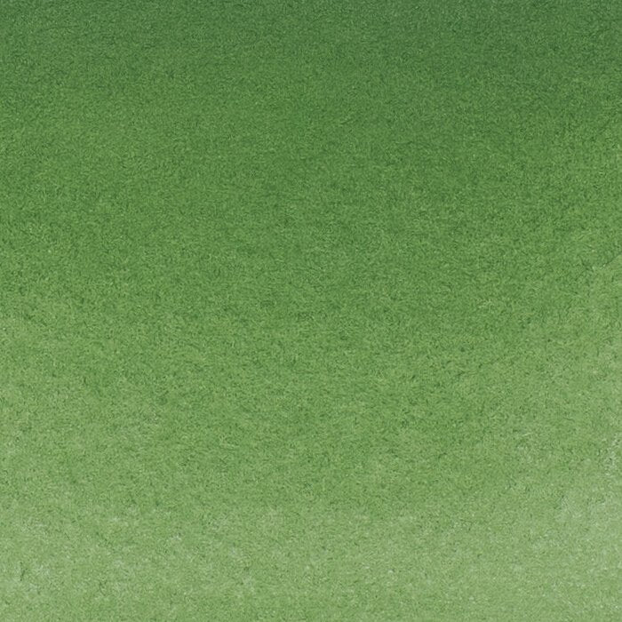 Schmincke Horadam Aquarelle Watercolour Paint Chromium Oxide Green