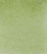 Product image for Schmincke Horadam Aquarelle Watercolour Paint Green Earth