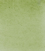 Product image for Schmincke Horadam Aquarelle Watercolour Paint Green Earth