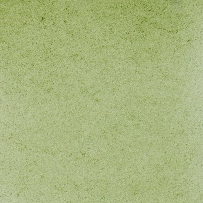 Schmincke Horadam Aquarelle Watercolour Paint Green Earth