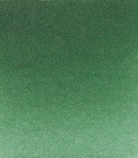 Product image for Schmincke Horadam Aquarelle Watercolour Paint Hooker's Green