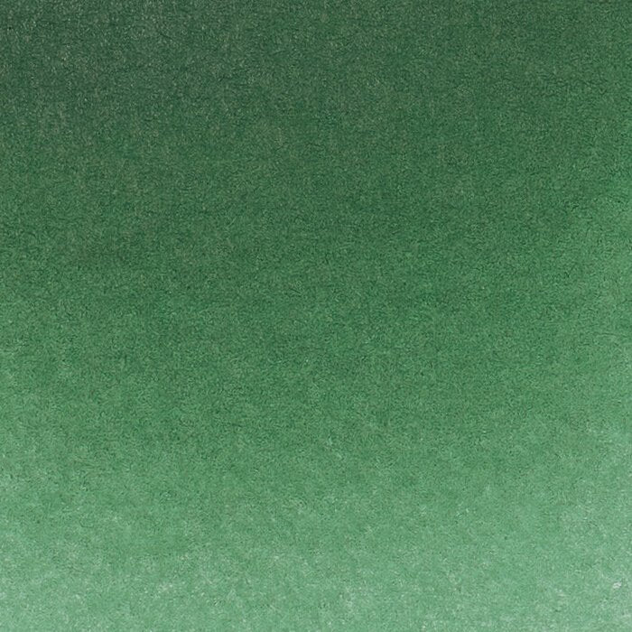 Schmincke Horadam Aquarelle Watercolour Paint Hooker's Green