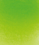 Product image for Schmincke Horadam Aquarelle Watercolour Paint May Green
