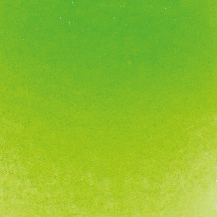 Schmincke Horadam Aquarelle Watercolour Paint May Green