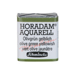 Product image for Schmincke Horadam Aquarelle Watercolour Paint Olive Green Yellowish