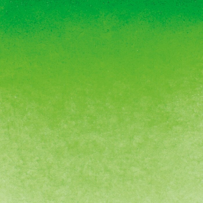 Schmincke Horadam Aquarelle Watercolour Paint Permanent Green