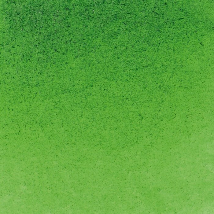 Schmincke Horadam Aquarelle Watercolour Paint Sap Green