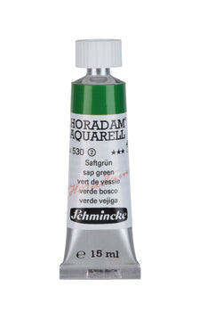 Product image for Schmincke Horadam Aquarelle Watercolour Paint Sap Green