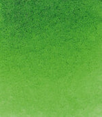 Product image for Schmincke Horadam Aquarelle Watercolour Paint Sap Green