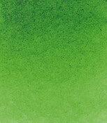 Product image for Schmincke Horadam Aquarelle Watercolour Paint Sap Green