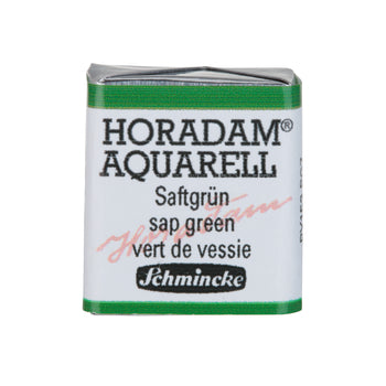 Product image for Schmincke Horadam Aquarelle Watercolour Paint Sap Green