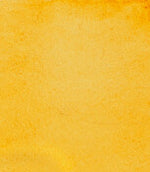 Product image for Schmincke Horadam Aquarelle Watercolour Paint Transparent Ochre