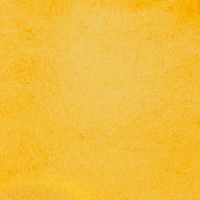 Schmincke Horadam Aquarelle Watercolour Paint Transparent Ochre