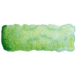 Product image for Schmincke Horadam Aquarelle Watercolour Paint Shire Green
