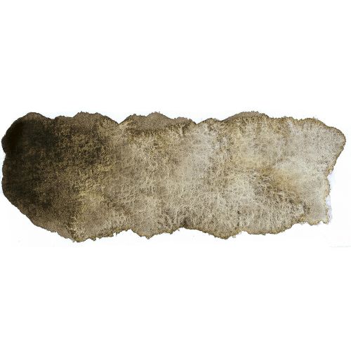 Product image for Schmincke Horadam Aquarelle Watercolour Paint Haze Brown