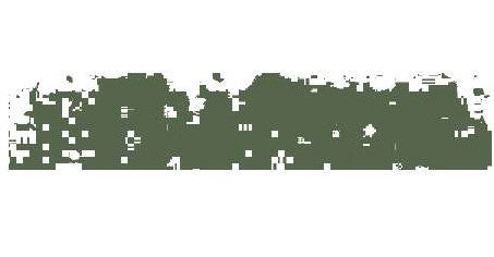 SCHMINCKE PASTEL COLD GREEN DEEP D