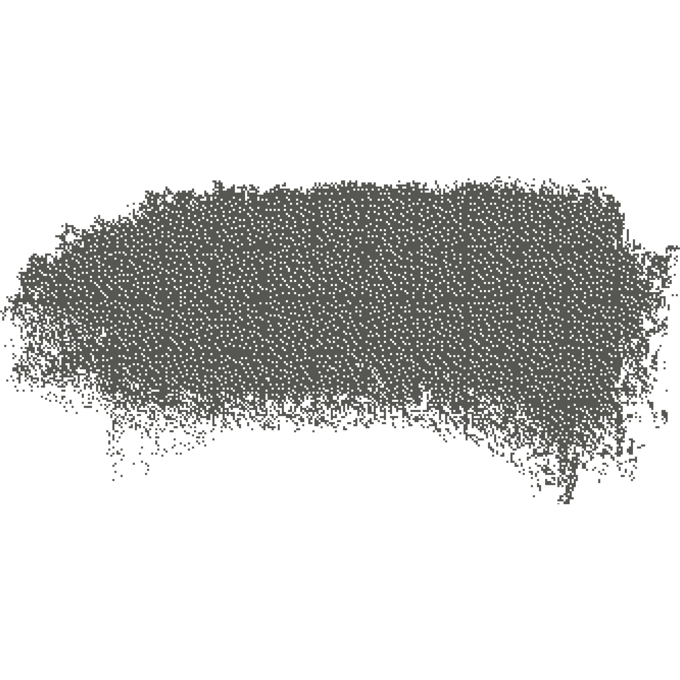 SCHMINCKE PASTEL COLD GREY D
