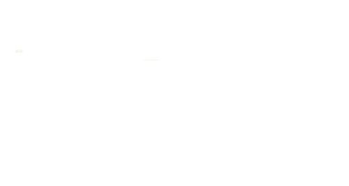 Schmincke Pigment Zinc White 100ml