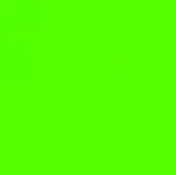 Schmincke Pigment Fluorescent Green 100ml