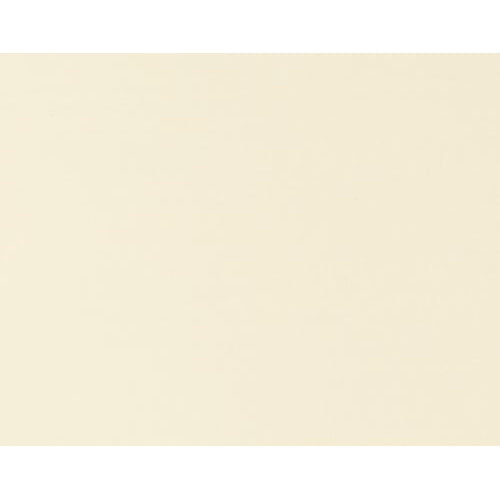 SCHMINCKE ACADEMIE ACRYLIC PAINT TITANIUM BUFF LIGHT