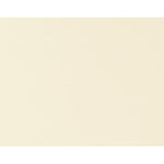 SCHMINCKE ACADEMIE ACRYLIC PAINT TITANIUM BUFF LIGHT