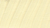 Schmincke Akademie Acrylic Paint Ivory 500ml