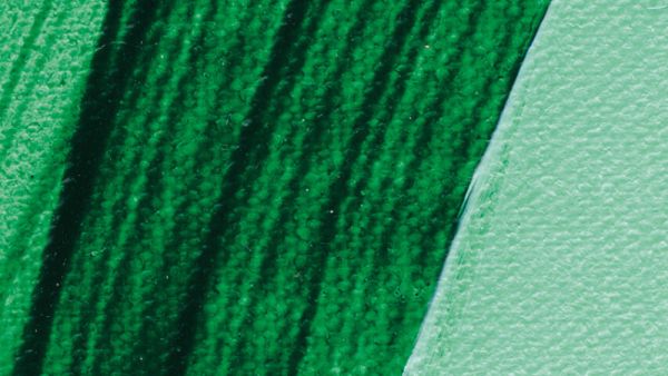 Schmincke Akademie Acrylic Paint Phthalo Green Light 60ml