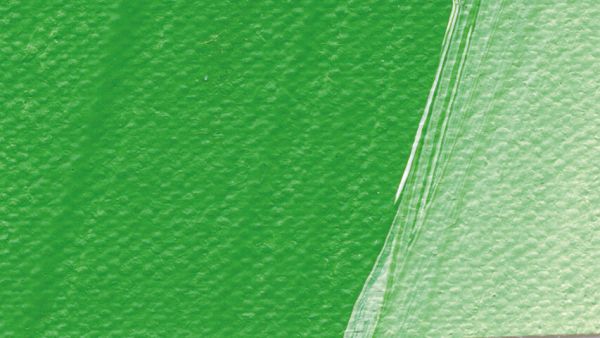 Schmincke Akademie Acrylic Paint Permanent Green