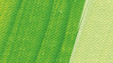 Schmincke Akademie Acrylic Paint May Green