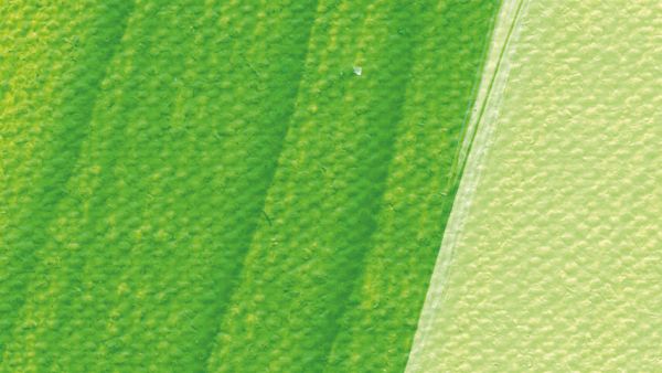 Schmincke Akademie Acrylic Paint May Green